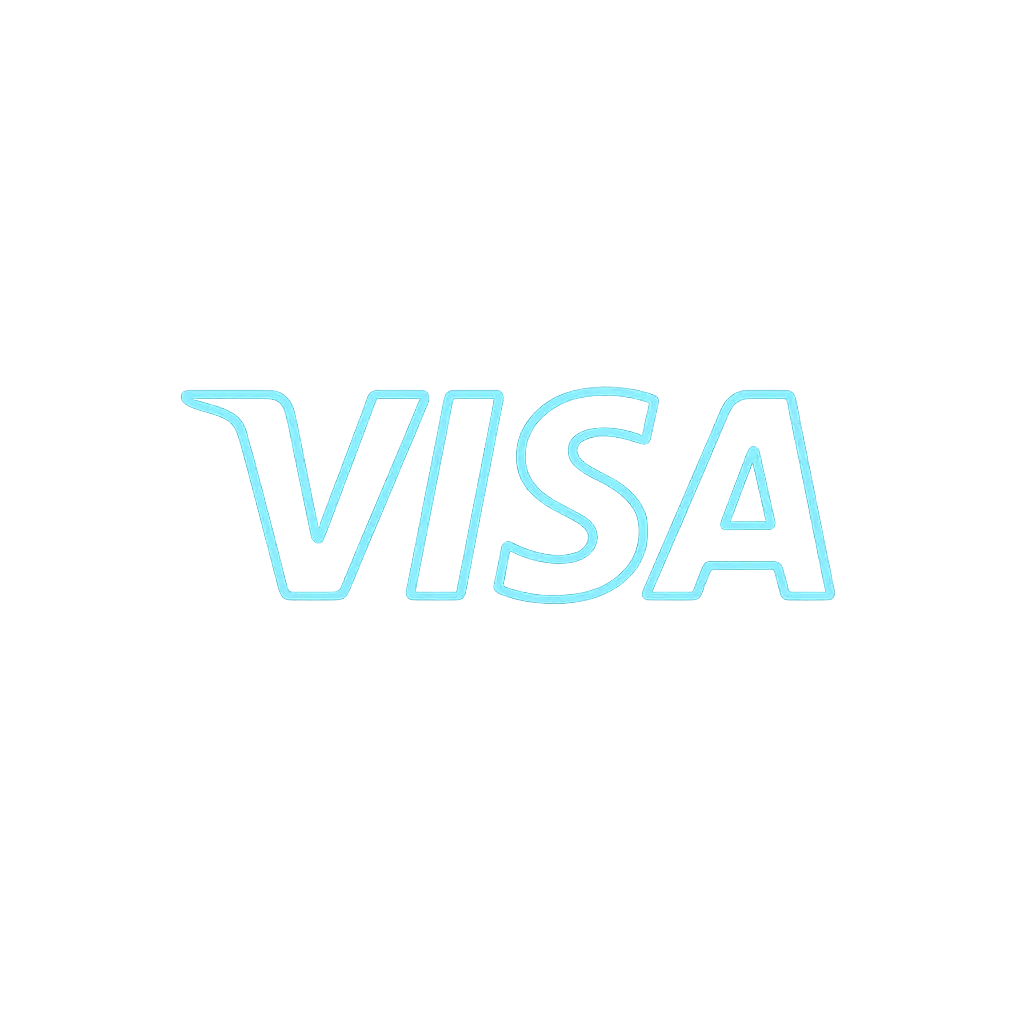 Visa icon